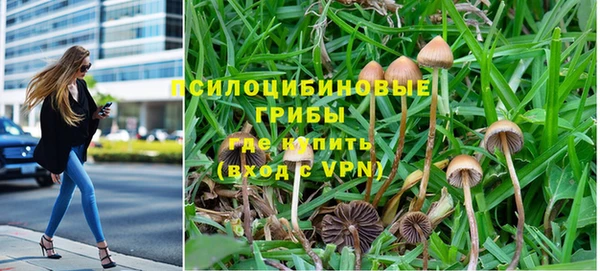 соль курить ск Ельня